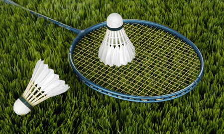 Picture for category Badminton